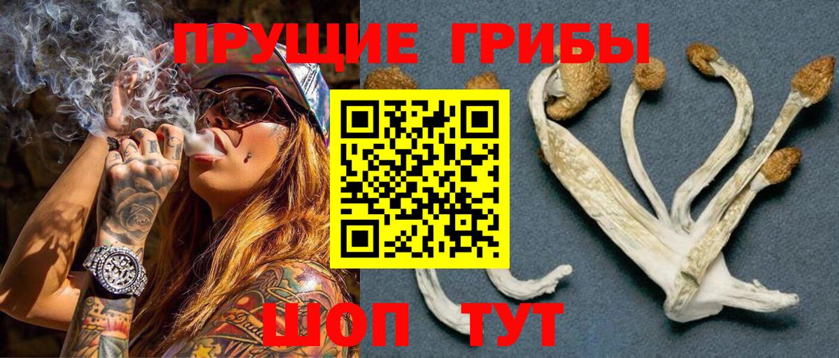 Подольск  Галлюциногенные грибы мухоморы  Вход с VPN 